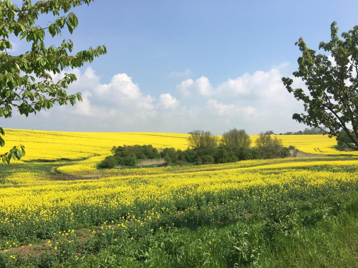 דירות Oberuckersee Rosalee מראה חיצוני תמונה